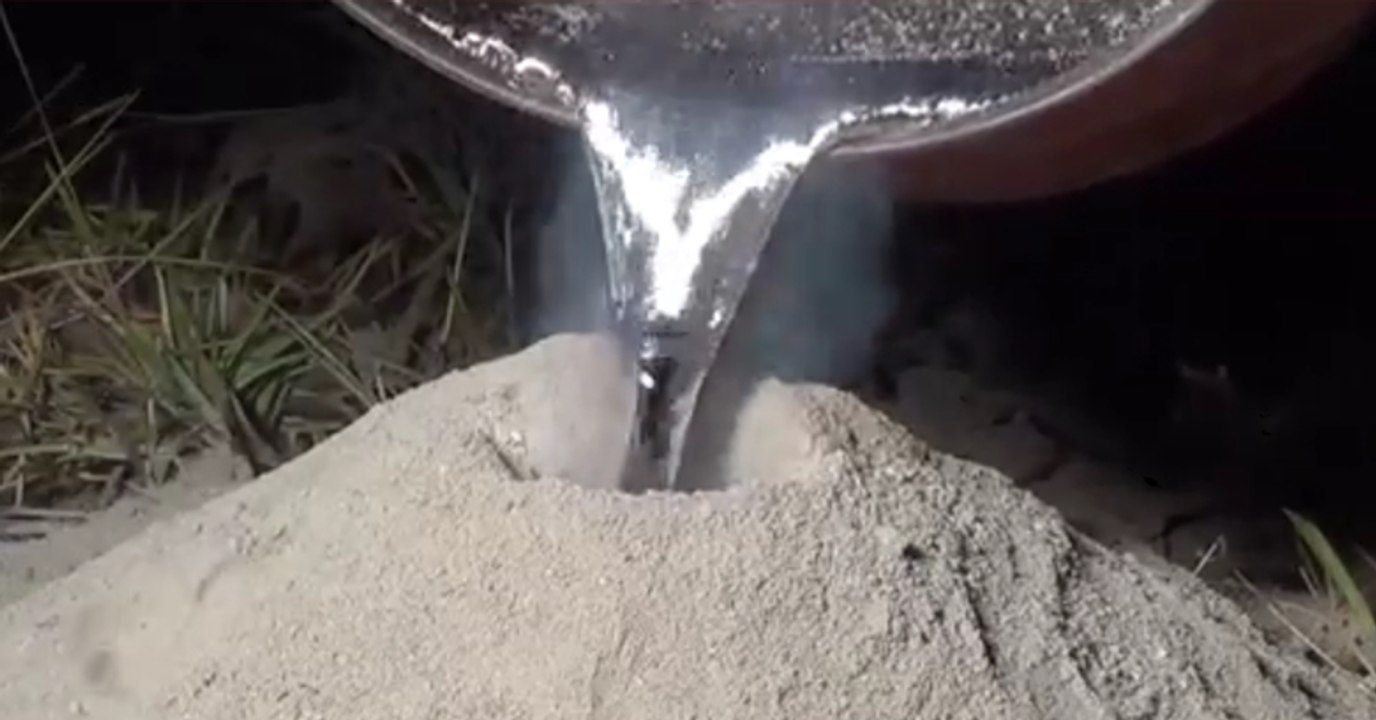 Mapping An Ant Nest With Molten Aluminum!
