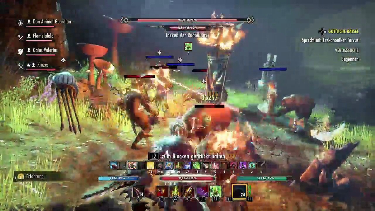 DonAleszandro The Elder Scrolls «-Pilzgrotte 1 mit Don Animal Guard-» (575)