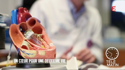 Santé - Un cœur pour une deuxième vie