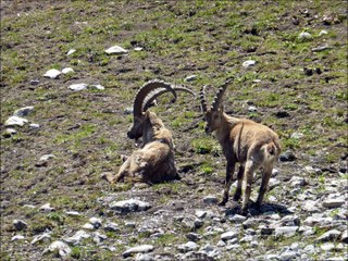 Randonnée Pointe de Talamarche - 21 mai 2016