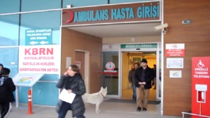 Sadık Köpek Acil Kapısında Sahibini Bekledi