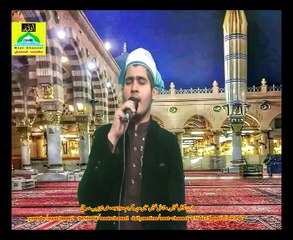 Naatchannel Naats 979 ,shahzeb sidiqi نعت چینل نعتیں.  آیئں نعتیں سنیں