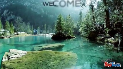 Searching for Personal Prophecy at Amazing Price