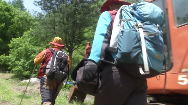[대전·대덕] 산림청, 국유림 8만3천ha 산림조사 완료 / YTN