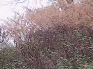 Un corps retrouvé dans la Loire