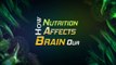 How Nutrition affects our Brain