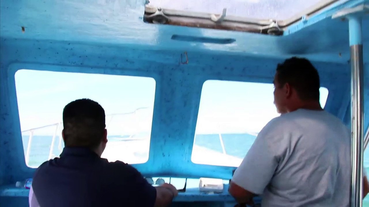 Nager avec des requins-baleines: au Mexique, c'est possible !