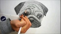 Pencil sketch - 동물(강아지)그리기 - Drawing animal/How to draw a dog