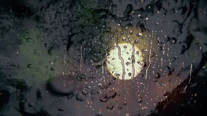 Einsam sind wir sowieso von PROJEKT wort:rausch