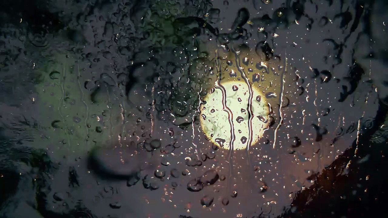 Einsam sind wir sowieso von PROJEKT wort:rausch