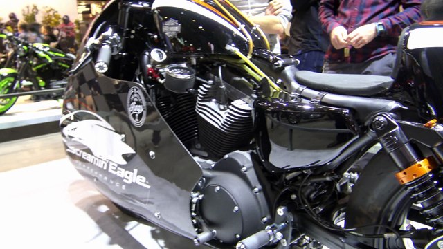 HARLEY DAVIDSON LAKESTAR SCREAMIN' EAGLE