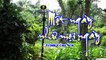 [Karaoke] MỘT NGÀY NHƯ MỌI NGÀY - Trịnh Công Sơn (Giọng Nam: Gm)