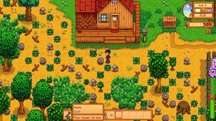 JEU EN VRAC - STARDEW VALLEY