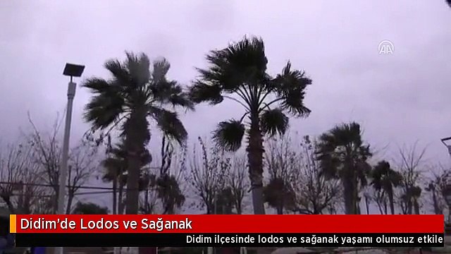 Didim'de Lodos ve Sağanak