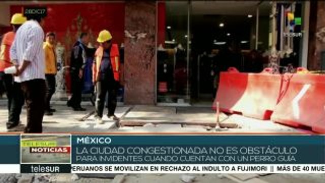 México: perros guías facilitan tránsito de invidentes por la ciudad