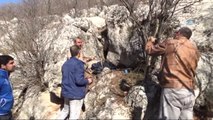 6 Gündür Kayalıklara Sıkışan Avcı Köpeği Kurtarılmayı Bekliyor