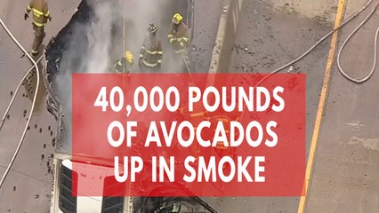 40,000 pounds of avocados catch fire In Texas