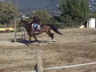 Brice et Kaline de Cerdagne