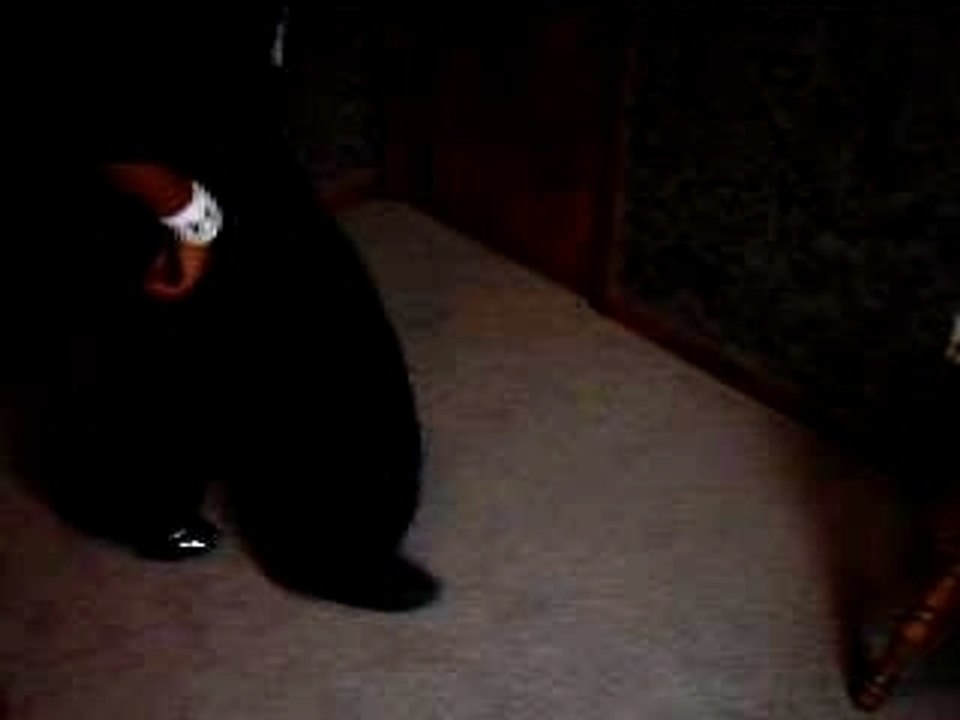 Dance Hip - Hop - Ammons Harlem Shake C Walk