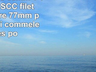 Walimex Pro 35mm 1 14 lentille SCC filetage du filtre 77mm parasoleil si