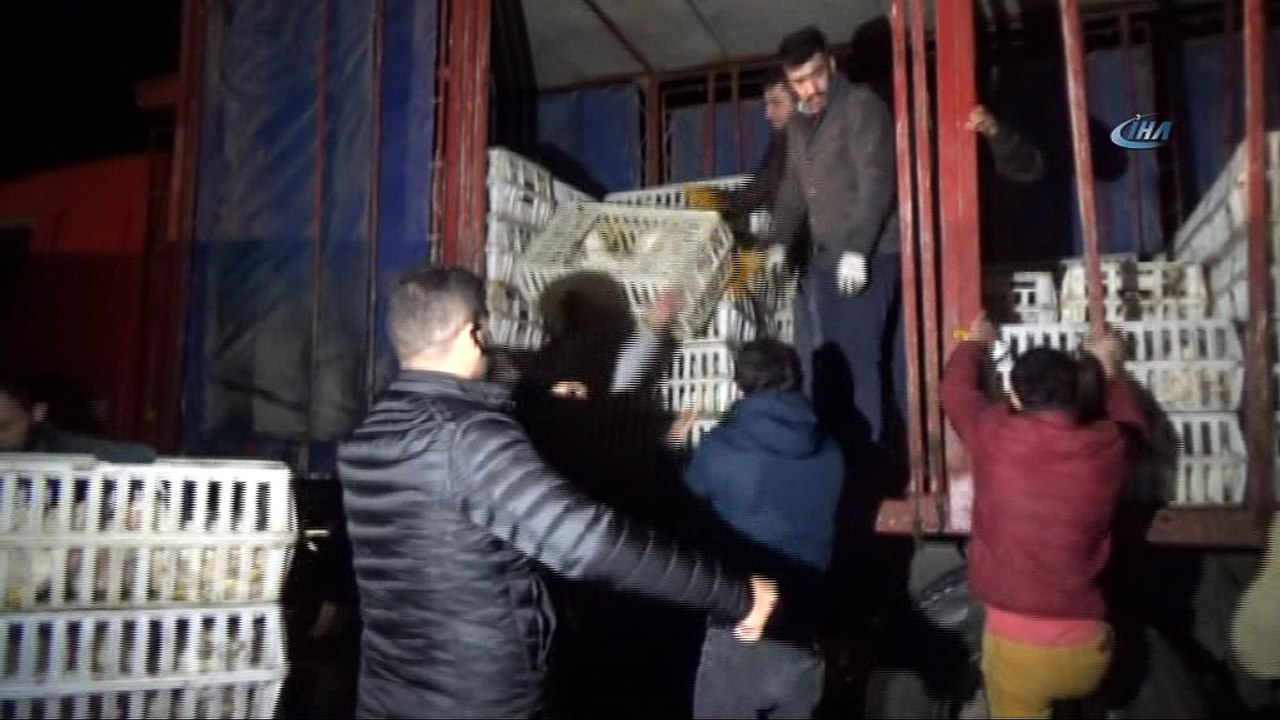 Tavuk taşıyan kamyon devrildi