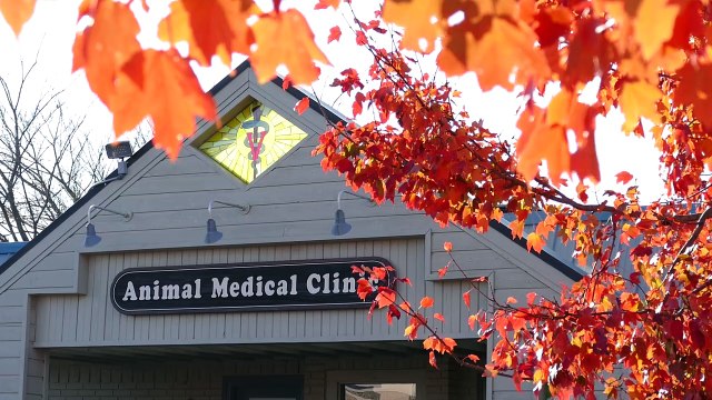 Welcome to Animal Medical Clinic