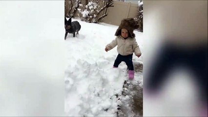 Quand ton chien joue les karatékas et met KO un bébé...