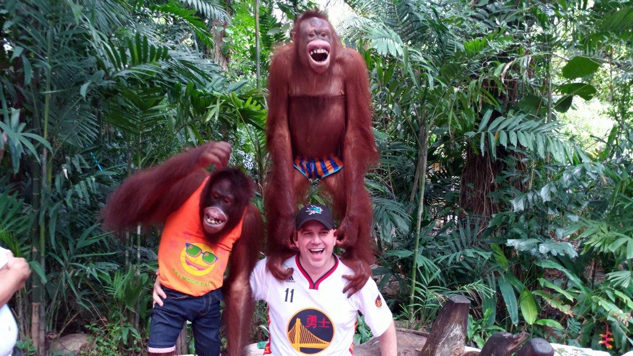 Having Fun with Orangutans
