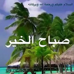 ض كيف الشاش الصيف مين ربه قاعده