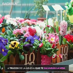 6 Trucos de la abuela que te salvarán la vida.