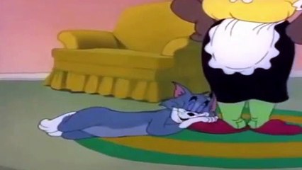 Tom And Jerry English Episodes -Sleepy Time Tom - Cartoon