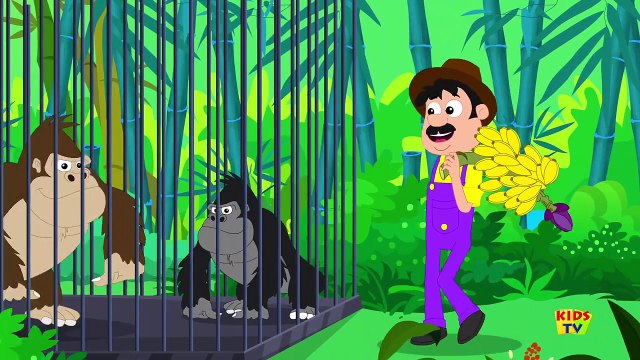 Old MacDonald Had A Zoo Nursery Rhymes Songs For Kids Zoo Song Kids Tv Nursery Rhym