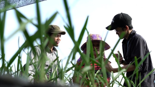 POTONGAN HARGA, +62 812 7777 487, TANAH KAVLING BOGOR