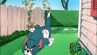Tom And Jerry English Episodes -  Slicked-up Pup  - Cartoons For Kids Tv-F-yq1j_3
