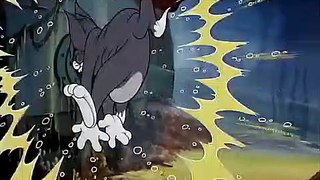 Tom And Jerry English Episodes - The Cat and the Mermouse  - Cartoons For Kids Tv-l-QGGr