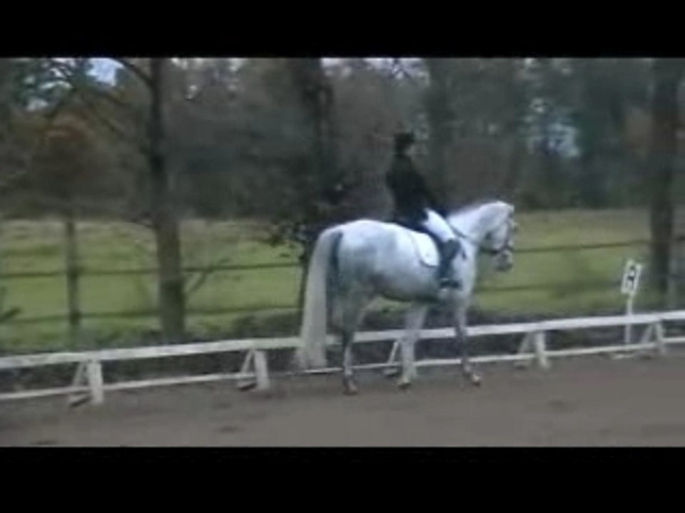 Manette et Miss Marple dressage C4