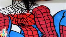 460 Spiderman Coloring Pages Videos  Images