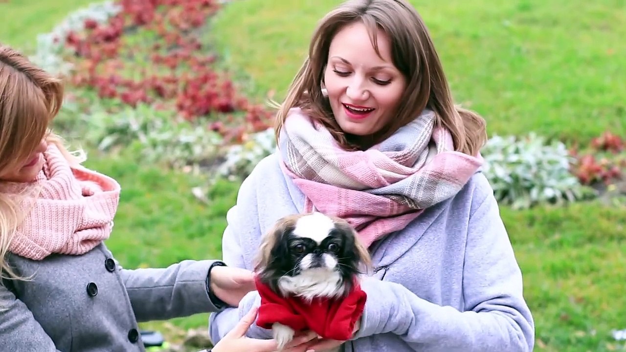 18 TRUCS POUR VOS ANIMAUX DE COMPAGNIE / SUPERS ASTUCES POUR LES CHATS ET LES CHIENS