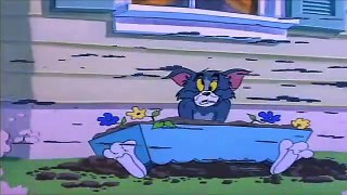 Slicked-up Pup Tom And Jerry English Episodes - Safety Second