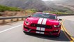 FORD SHELBY - 2016 FORD SHELBY GT350R MUSTANG FIRST DRIVE REVIEW #Auto_HDFr