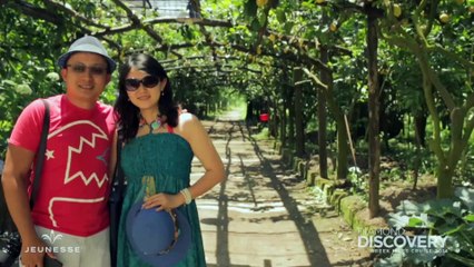 Jeunesse Lifestyle Rewards Trips 2016 (Hindi Subtitles)