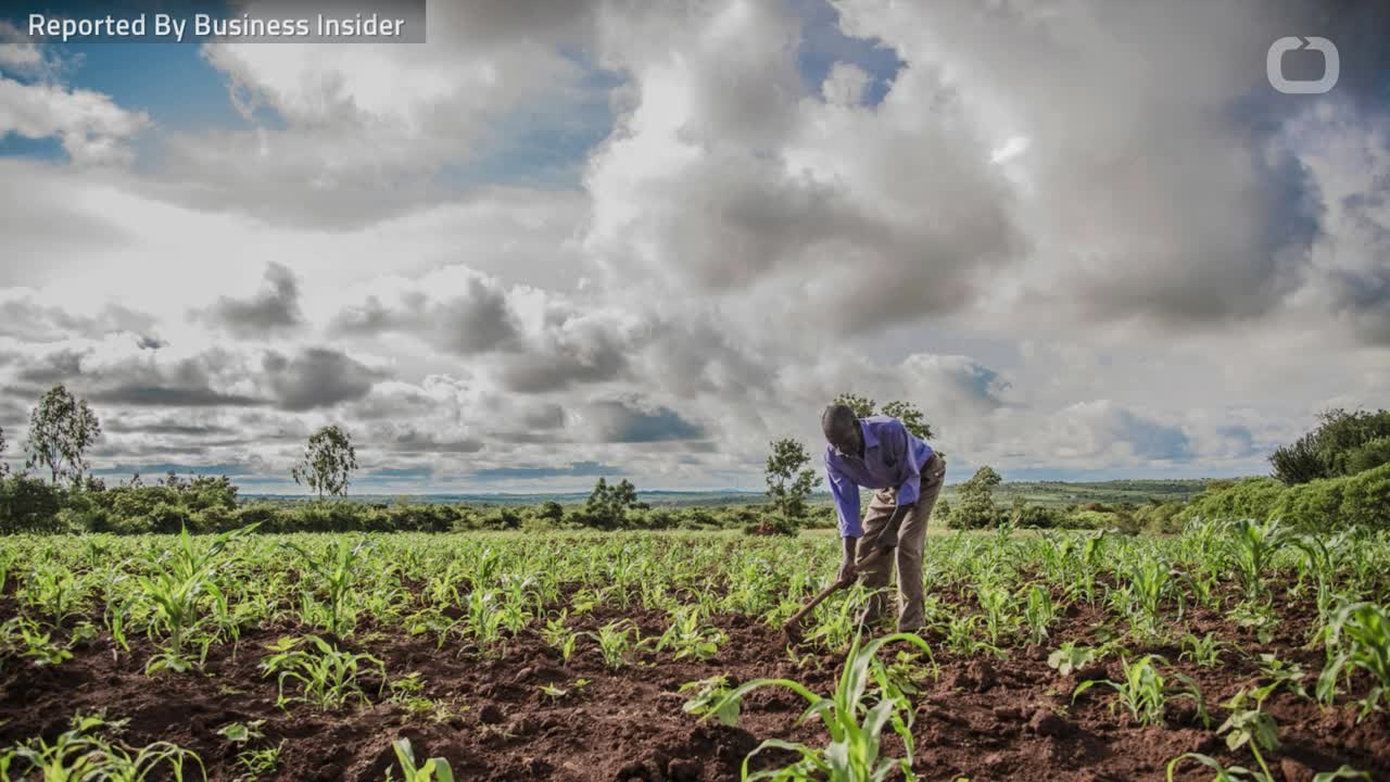 Basic Income Put To The Test In Kenya