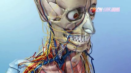 Selama Ini Kalian Dibohongi..!! 6 Mitos & Kebohongan yang Dibuat Film dan Kalian Percaya Sampe Skrg!