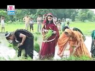 भोजपुरी गाना जो आपको झूमने को कर देगा मजबूर