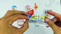 Mentos Collection Candy  -Kids What Flavor You Like it