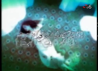 Дикий ангел серия 119