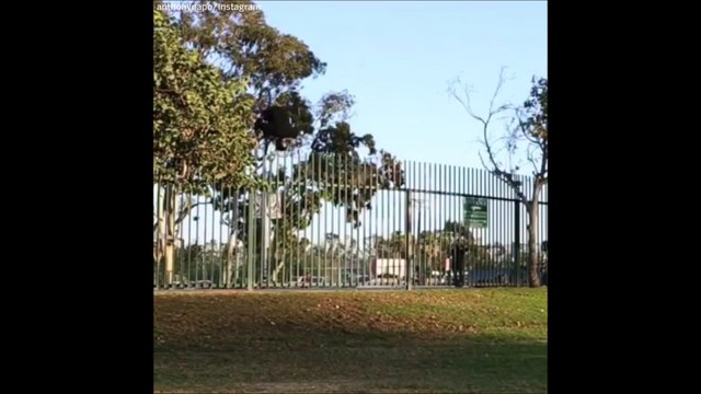 Ce type est probablement le plus chanceux des pilotes de BMX