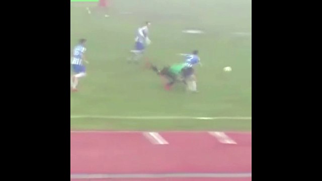 Już był w ogródku, już witał się z gąską