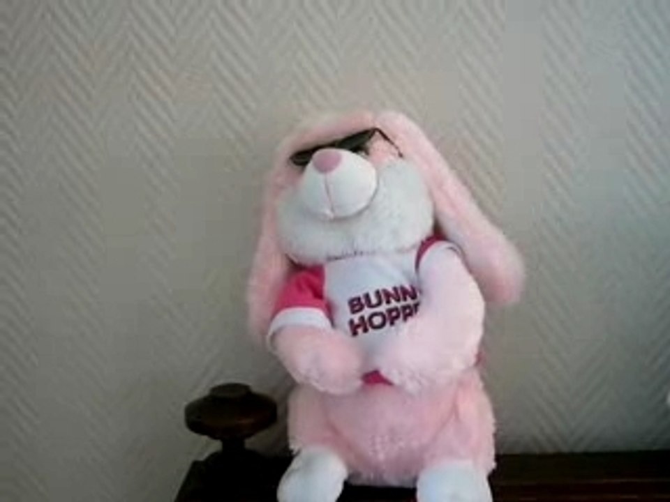 lapin rose