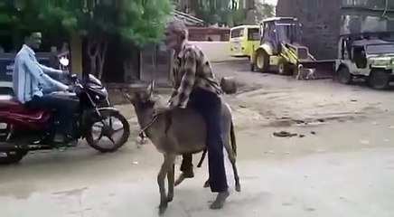 the old man fun with donkey